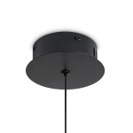 Подвесной светильник FR5545PL-L5BG, FR5545PL-L5BG. TM Maytoni