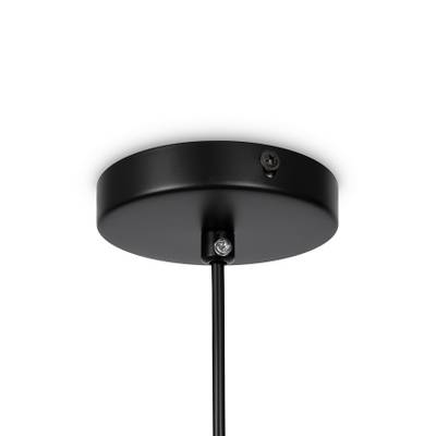 Подвесной светильник Eleon FR5218PL-01B1, E27х1. TM Maytoni