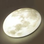 3084/DL PALE SN 68 Светильник пластик/белый/серый LED 48Вт 4000К D380 IP43 MOON
