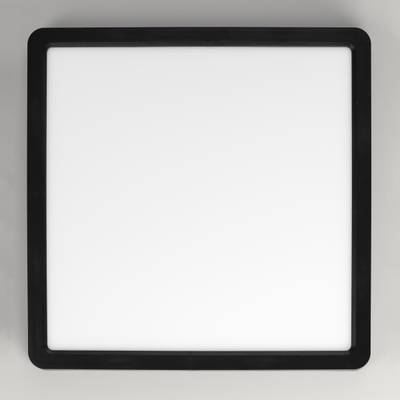 Citilux Бейсик CL738K241V LED Светильник накладной Чёрный