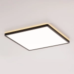 Citilux NORMA CL748K401 LED Светильник с подсветкой Чёрный