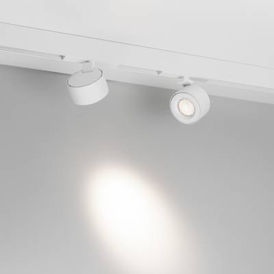 Светильник MAG-ORIENT-POINT-R80-12W Day4000-MIX (WH, 18 deg, 48V, DALI) (Arlight, IP20 Металл, 5 лет)