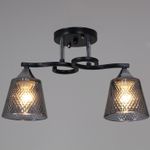 06089-0.3-02 BK+CR светильник потолочный