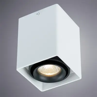 Точечный накладной светильник Arte Lamp PICTOR A5655PL-1WH, 1хGU10