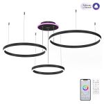 Citilux Дуэт Смарт CL719A701 RGB Умная подвесная люстра Чёрная