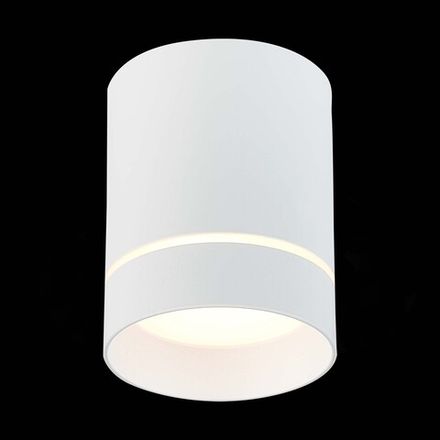 ST115.532.12 Светильник потолочный Белый LED 1*12W 3000K 840Lm Ra&gt;90 120° IP20 D79xH100 170-240V