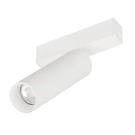 Светильник MAG-SPOT-25-R120-12W Day4000 (WH, 30 deg, 24V) (Arlight, IP20 Металл, 5 лет)