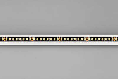 Светодиодная лента RT-5000-2835-160-24V Day4000 (Black 8mm, 12W/m, IP20) (Arlight, -)