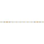 Светодиодная лента RT-A80-5mm 24V Warm3500 (5 W/m, IP20, 2835, 5m) (Arlight, Открытый)