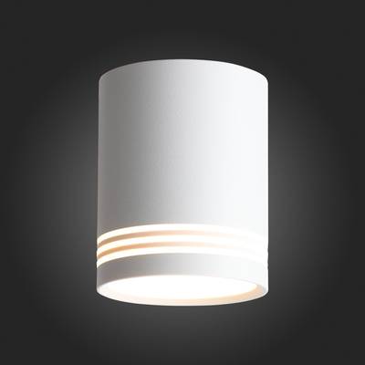 ST101.502.12 Светильник потолочный Белый LED 1*12W 3000K 936Lm 120° IP20 D79xH100 170-240V