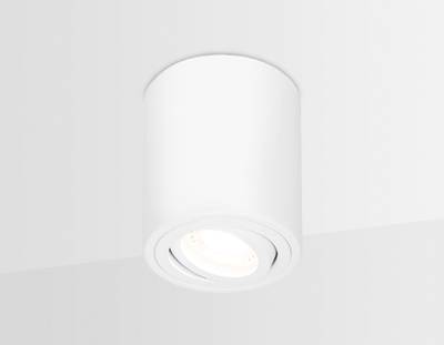 Накладной поворотный точечный светильник TN225 WH белый GU5.3 D80*100