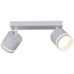 53001-9.5-002IL SPOT LIGHT GX53 WT светильник точечный Reluce Technical, GX53х2