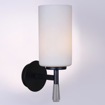 IL2218-1WLS-24 HIGHBALL светильник настенный ILLUMICO, E27х1