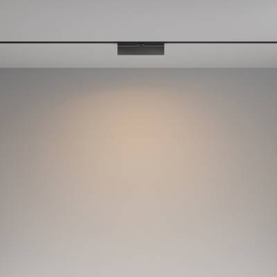Трековый светильник Basis Exility 3000K 12Вт 120°, TR036-2-12W3K-B. TM Maytoni