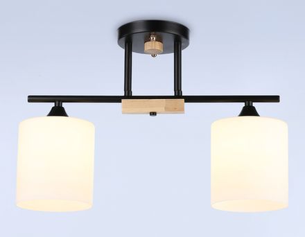 Светильник подвесной TR9543/2 BK/FR черный/белый матовый E27/2 max 40W 435*120*280
