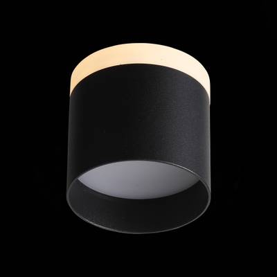ST102.402.12 Светильник потолочный Черный LED 1*12W 3000K 936Lm Ra&gt;80 120° IP20 D100xH90 170-240V