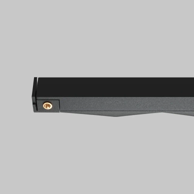 Трековый светильник Шип / Spiky Basity 3000K/6000K 12Вт 36°, TR175-1-12WTW-M-B. TM Maytoni