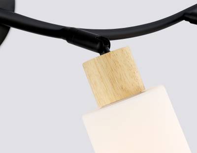 Светильник накладной TR8723/4 BK/WD черный/дерево E14/4 max 60W 760*100*210
