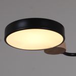 03326-0.3-03 BK+WOOD светильник потолочный