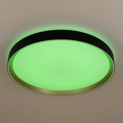 Citilux BOSS CL751451G LED RGB Светильник с пультом Чёрный с Золотом