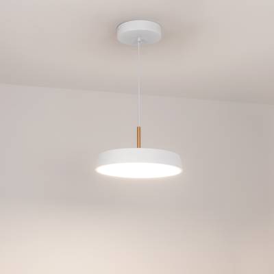 Светильник SP-ELEGANT-R300-17W Day4000 (WH, 120 deg, 230V) (Arlight, IP20 Металл, 3 года)