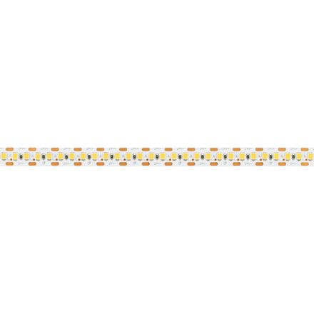 Светодиодная лента RT-A168-10mm 24V Warm2700-CX2 (17.3 W/m, IP20, 2835, 5m) (Arlight, 17 Вт/м, IP20)
