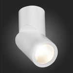 ST650.542.10 Светильник потолочный Белый LED 1*10W 4000K 800Lm Ra&gt;90 38° IP44 D60xH175 165-265V