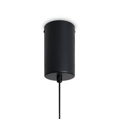 Подвесной светильник Lake FR6179PL-L6B, LED. TM Maytoni