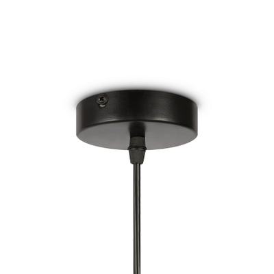 Подвесной светильник AvaGarden FR5249PL-03BG, E27х3. TM Maytoni