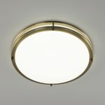 Citilux Бостон CL709503N LED Люстра с диммером Бронза