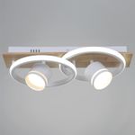 29560-0.3-2+2 WH+WOOD светильник потолочный