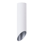 Точечный накладной светильник Arte Lamp PILON-SILVER A1535PL-1WH, 1хGU10
