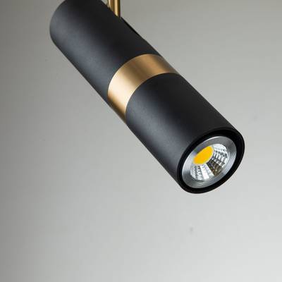 Подвес Light point 2997-1P. ТМ Favourite