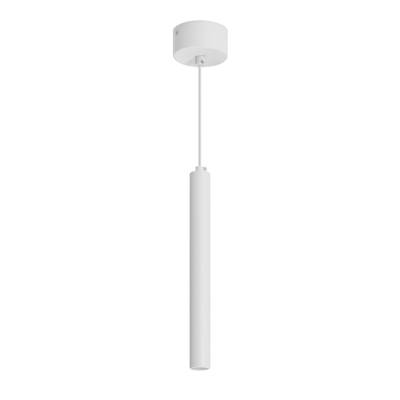 Светильник SP-PIPE-HANG-L300-R30-9W Day4000 (WH, 24 deg, 230V) (Arlight, IP20 Металл, 3 года)