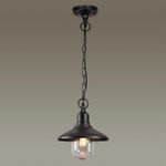 4965/1 NATURE ODL22 735 черный/стекло Ландшафтный подвес E27 1*60W IP44 CAMPA