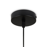 Подвесной светильник Jiffy FR5188PL-01G, E27х1. TM Maytoni