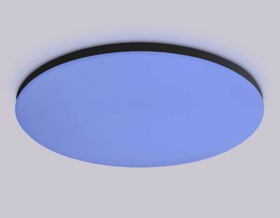 Потолочный светодиодный светильник с Wi-Fi Яндекс Алисой/Tuya/Smart Home/Alexa FZ2006 BK черный IP54 30W 3000K-6500K+RGB D450*60 (ПДУ ИК)