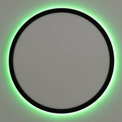 Citilux Basic Line CL738321EL RGB Светильник с пультом Чёрный