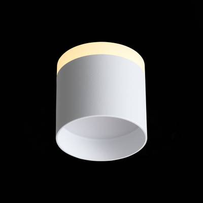 ST102.502.09 Светильник потолочный Белый LED 1*9W 3000K 702Lm Ra&gt;80 120° IP20 D79xH75 170-240V