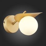 SLE220501-01 Бра Золотистый/Белый G9 1*5W