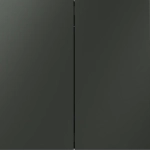 VLS020606 Выключатель с самовозвратом встраиваемый VOLTUM S70 двухклавишный 10А, (титан). (ТМ Maytoni)