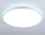 Потолочный светодиодный светильник FZ3005 WH белый IP44 33W+10W 6400+6400К D375*40 (Без ПДУ)