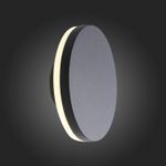 SL087.401.01 Светильник уличный настенный ST-Luce Черный кварцевый LED 1*12W 4000K