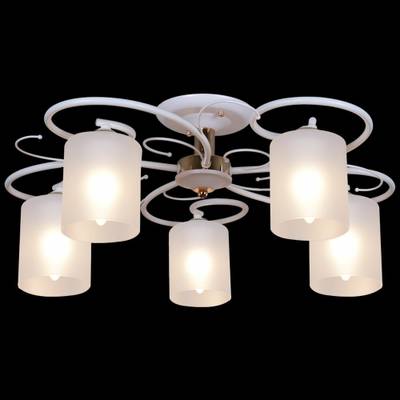 00738-0.3-05 светильник потолочный