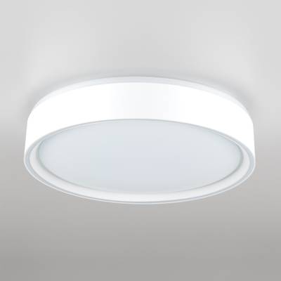Citilux BOSS CL751250G LED RGB Светильник с пультом Белый