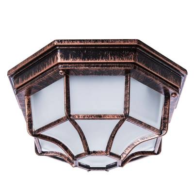 Уличный потолочный светильник Arte Lamp PEGASUS A3100PL-1AC, 1хE27