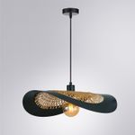 Подвесной светильник Arte Lamp WOODSTOCK A7059SP-1BK, 1хE27