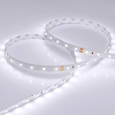 Лента RT 2-5000 24V White6000 (3528, 300 LED, LUX) (Arlight, 4.8 Вт/м, IP20)