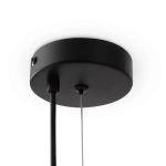 Подвесной светильник Evidence FR5372PL-05B, G9х5. TM Maytoni