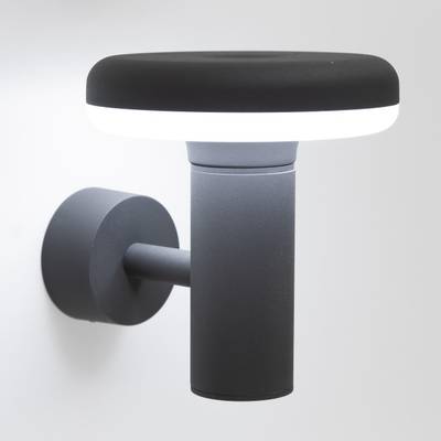 Citilux CLU01W LED Уличный настенный светильник Графит